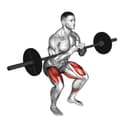 Zercher Squat Strength Standards