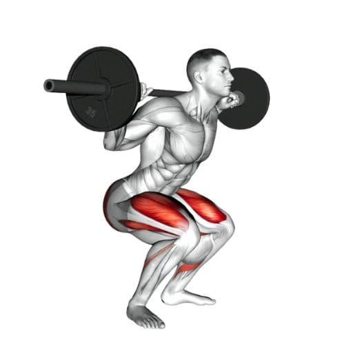 Barbell Back Squat Biomechanical Execution and Target Muscle Activation