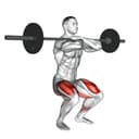 Front Squat vs. Back Squat Ratio Guide