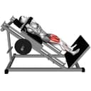 Hack Squat vs. Back Squat vs. Leg Press